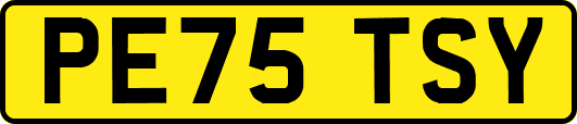 PE75TSY