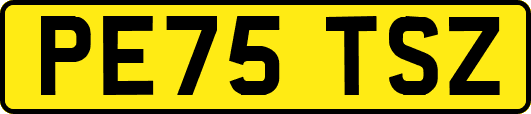 PE75TSZ