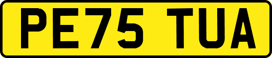 PE75TUA