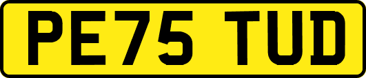 PE75TUD