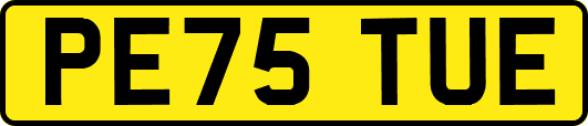 PE75TUE