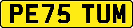 PE75TUM
