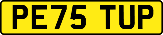 PE75TUP