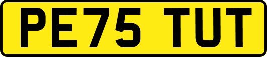 PE75TUT