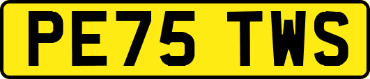 PE75TWS