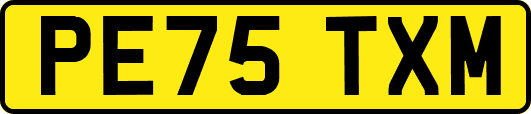 PE75TXM