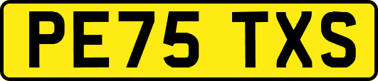 PE75TXS