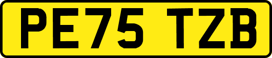 PE75TZB