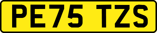 PE75TZS