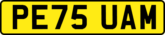 PE75UAM