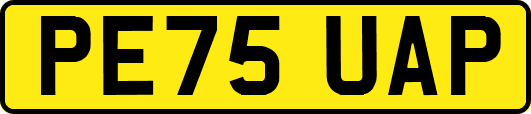 PE75UAP