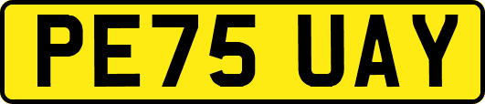 PE75UAY