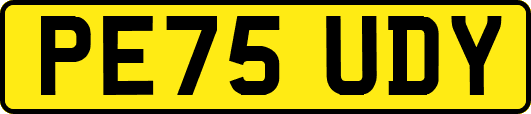 PE75UDY