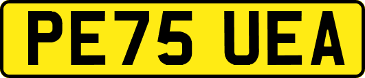 PE75UEA