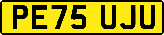 PE75UJU