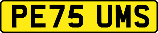 PE75UMS
