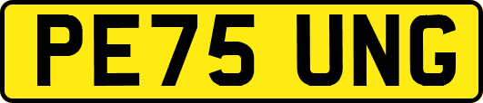 PE75UNG