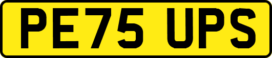 PE75UPS