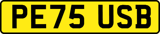 PE75USB