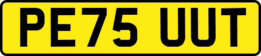 PE75UUT