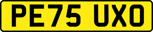 PE75UXO