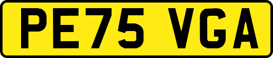 PE75VGA