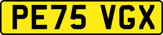 PE75VGX