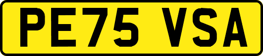 PE75VSA