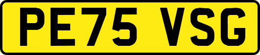 PE75VSG