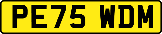 PE75WDM