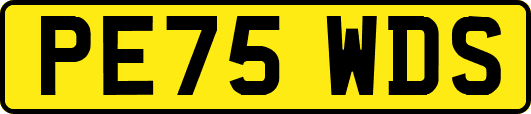 PE75WDS
