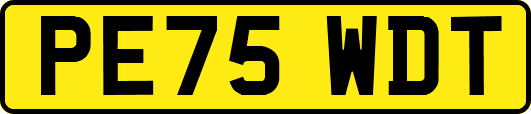 PE75WDT