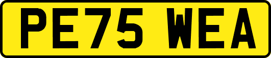 PE75WEA