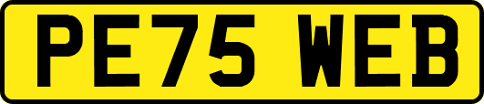 PE75WEB