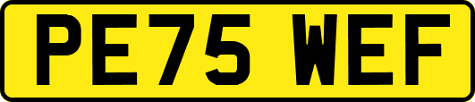 PE75WEF