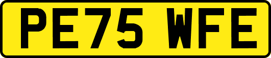 PE75WFE