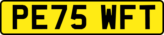PE75WFT