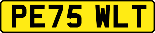 PE75WLT