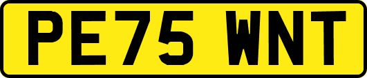 PE75WNT