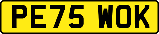 PE75WOK