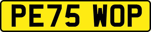 PE75WOP