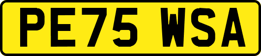 PE75WSA