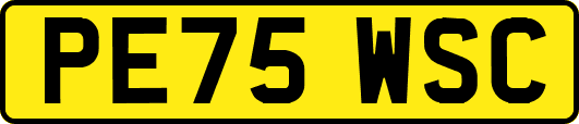 PE75WSC