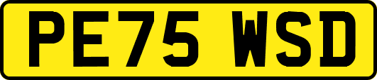 PE75WSD
