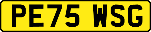 PE75WSG