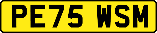 PE75WSM