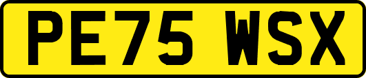 PE75WSX