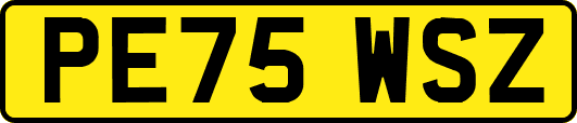 PE75WSZ