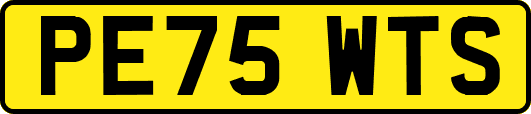 PE75WTS