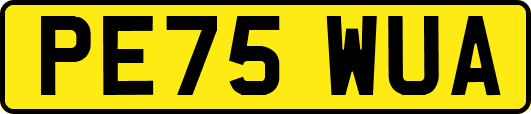 PE75WUA